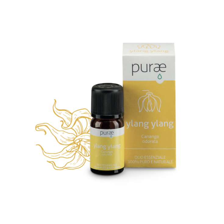 Ylang Ylang Purae 10ml