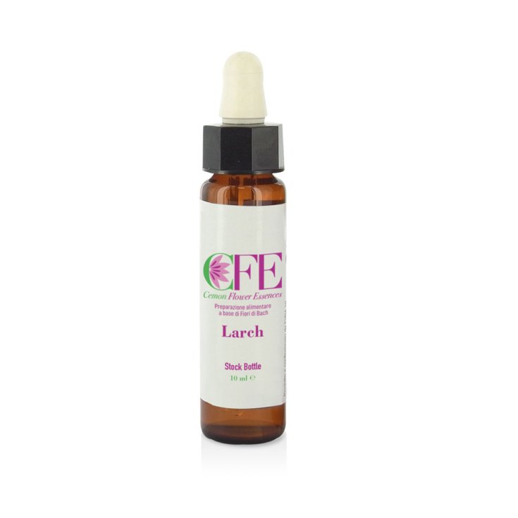 Larch Cemon Flower Essences Stock Bottle 10ml