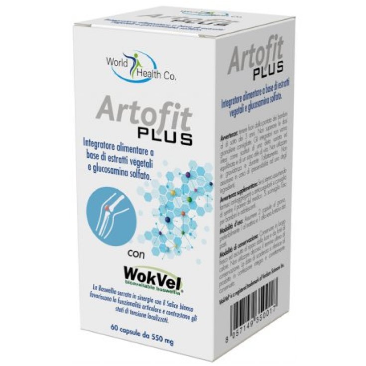 Artofit PLUS World Health Co. 60 Capsule