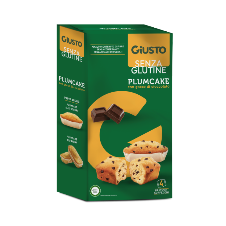 Plumcake Con Gocce di Cioccolato Giusto 160g