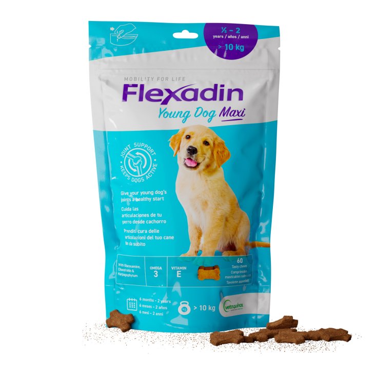 Flexadin Youg Dog Maxi Vetoquinol 60 Tavolette Appetibili