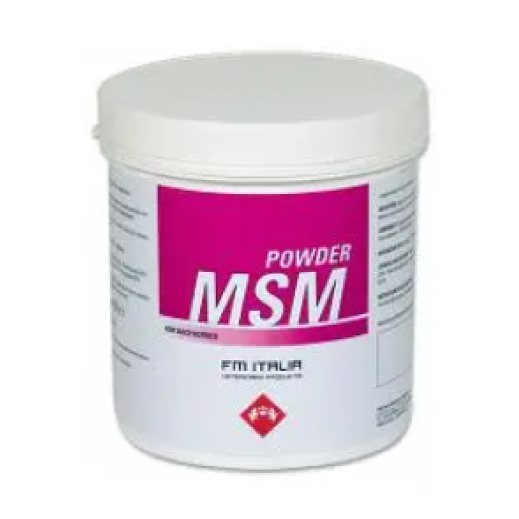 MSM Powder FM Italia 600g