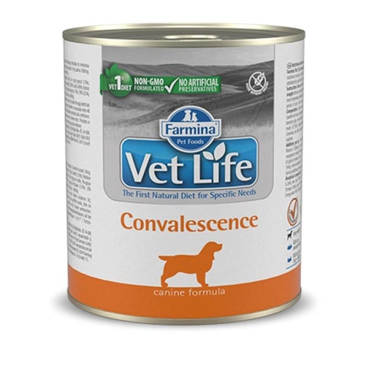 Vet Life Convalescence - 300GR