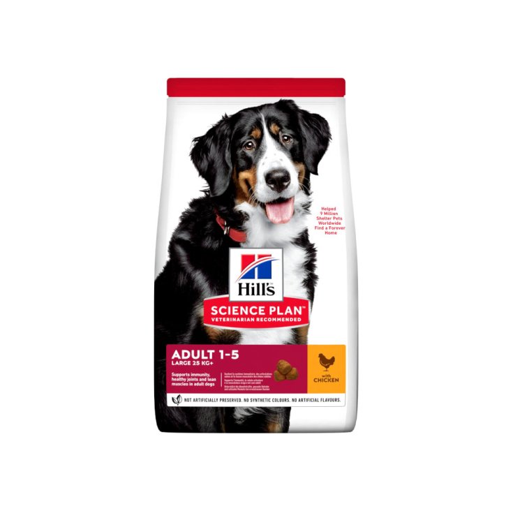 Science Plan Adult Large Breed con Pollo - 12KG