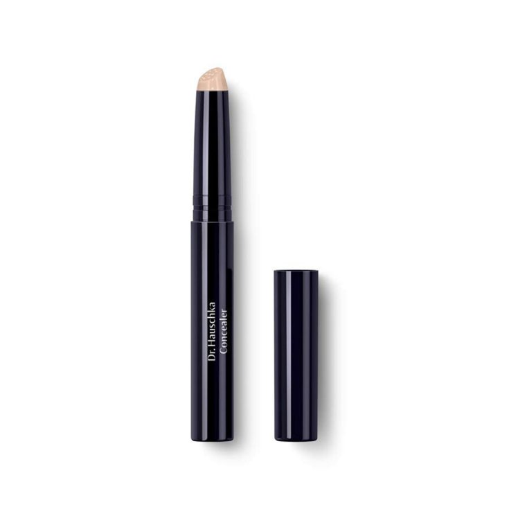 Dr. hauschka Concealer Correttore 02 Chestnut 2,5 ml