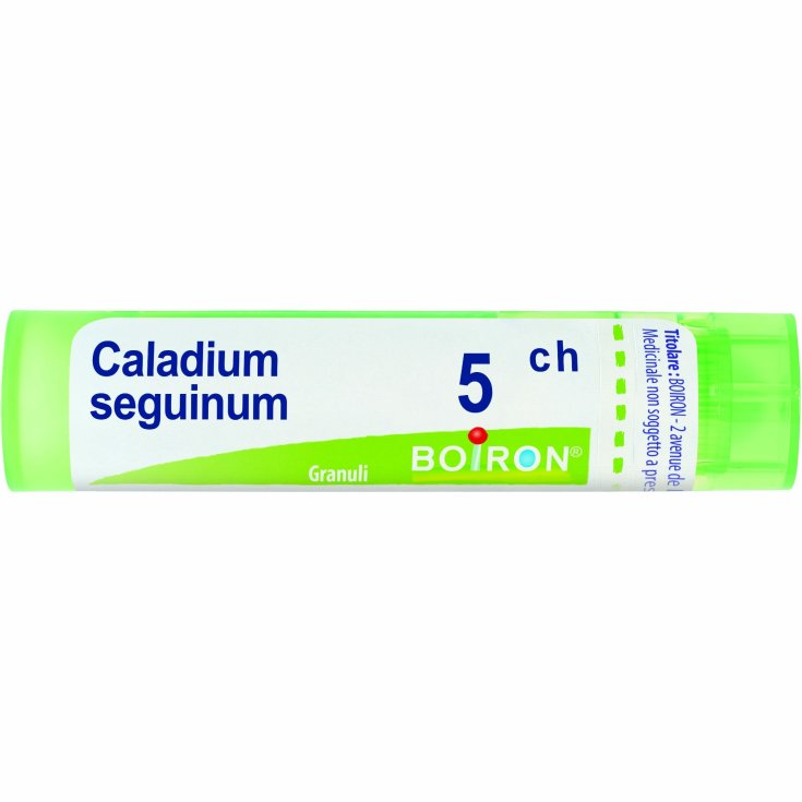 Caladium Seguinum 5CH Boiron Granuli 4g Caladium Seguinum 5CH Boiron Granuli 4g
