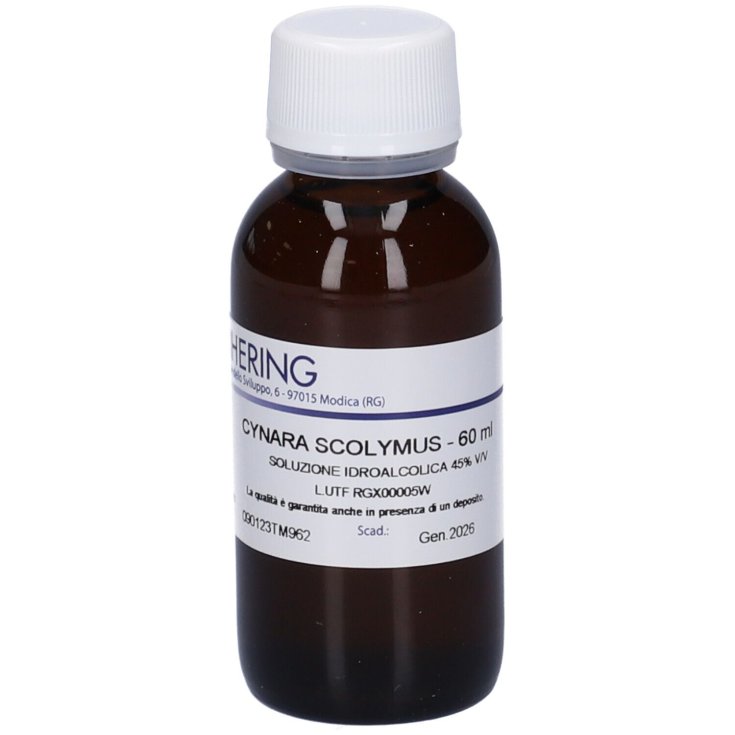 Cynara&nbsp;Scolymus&nbsp;TM Hering 60ml