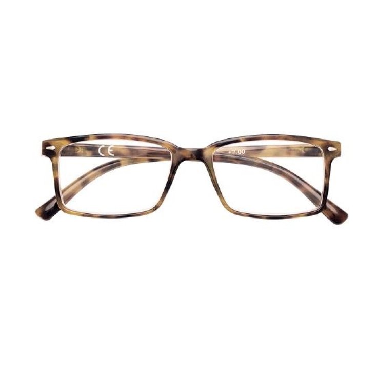 Occhiali da Lettura 31Z-B21 Zippo +2,00 1 Pezzo