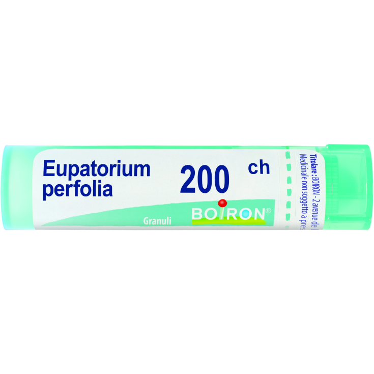 Eupatorium Perfoliatum 200CH Boiron 80 Granuli 4g