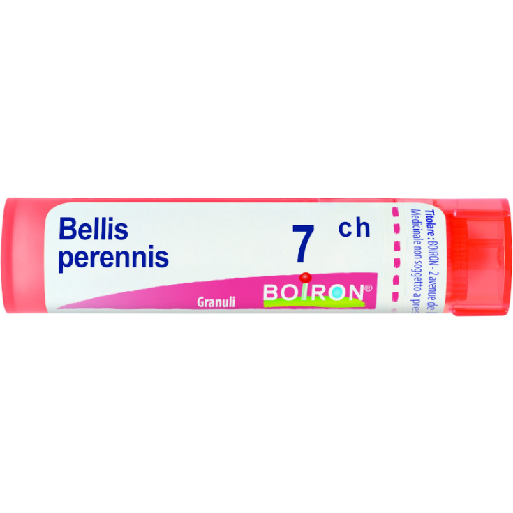 Bellis Perennis 7CH Boiron 80 Granuli 4g