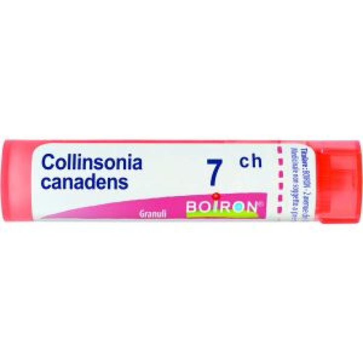 Collinsonia Canadens 7CH Boiron 80 Granuli