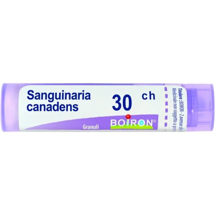 Sanguinaria Canadensis 30ch Boiron Granuli 4g