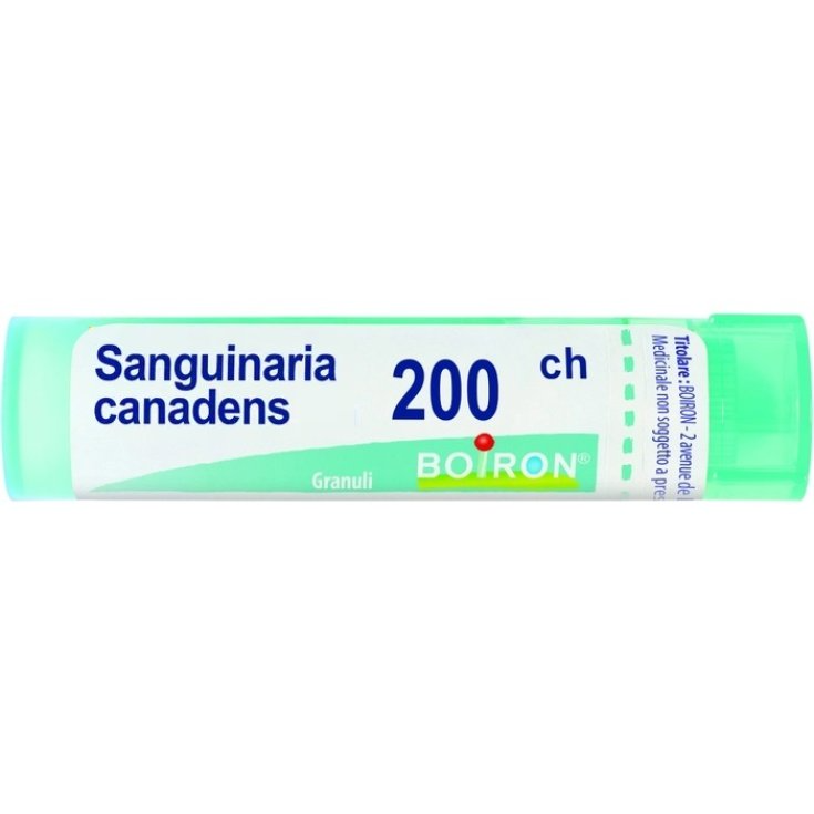 Sanguinaria Canadensis 200CH Boiron Granuli 4g