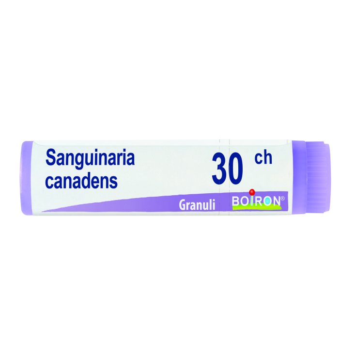 Sanguinaria Canadensis 30ch Boiron Globuli 1g