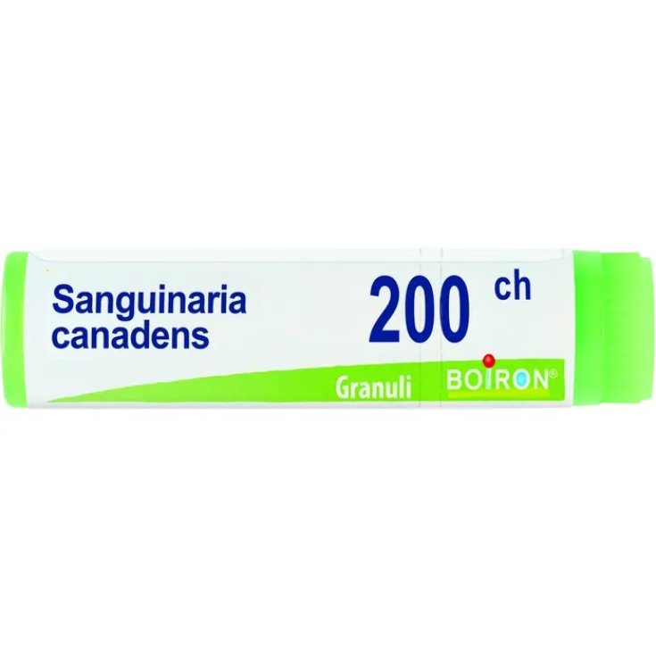 Sanguinaria Canadensis 200ch Boiron Globuli 1g