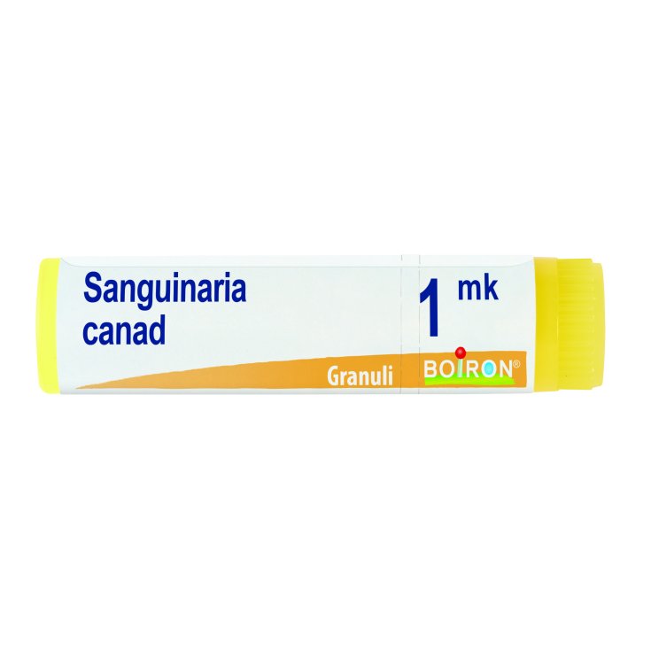 Sanguinaria Canadensis 1mk Boiron Globuli 1g