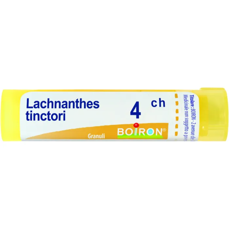 Lachnanthes Tinctoria 4CH Boiron Granuli 4g