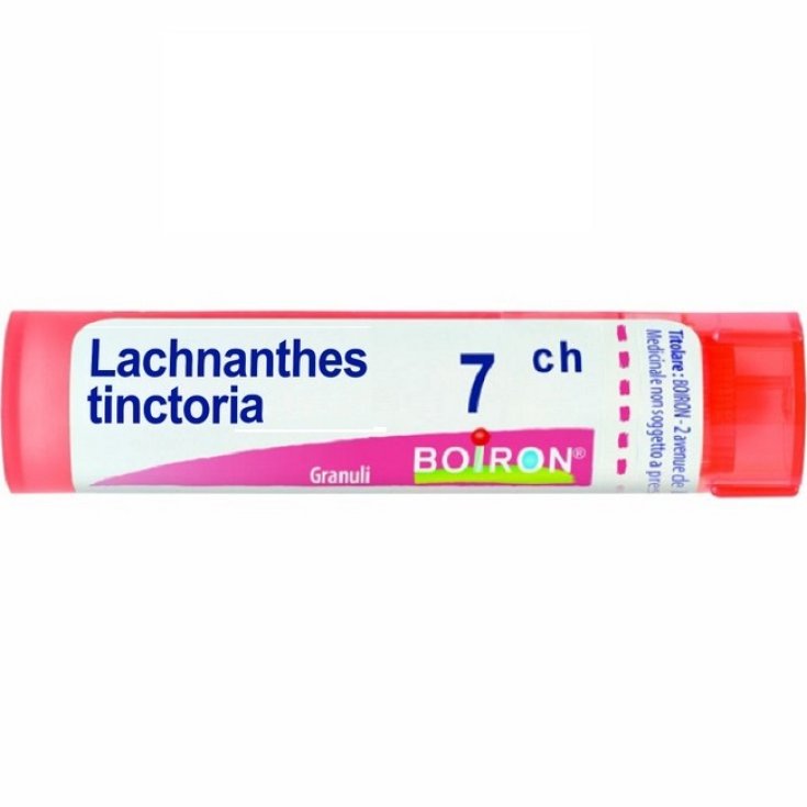 Lachnanthes Tinctoria 7ch Boiron Granuli