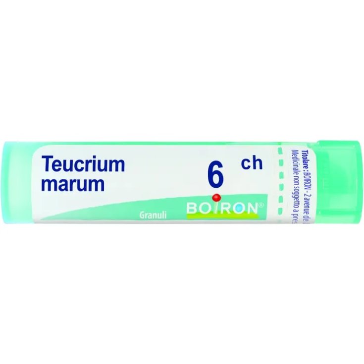 Teucrium Marum 6ch Boiron 4g