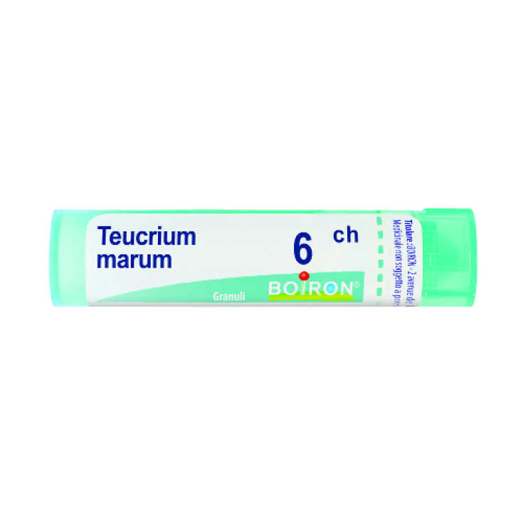 Teucrium Marum 6CH Boiron Granuli 4g