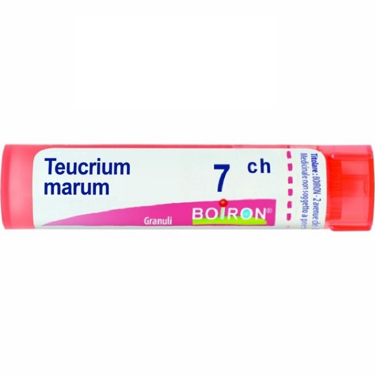 Teucrium Marum 7ch Boiron Granuli 4g