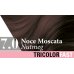 Tricolor Fast 7.0 Noce Moscata Colorazione Rapida Specchiasol