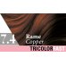 Tricolor Fast 7.4 Rame Colorazione Rapida Specchiasol
