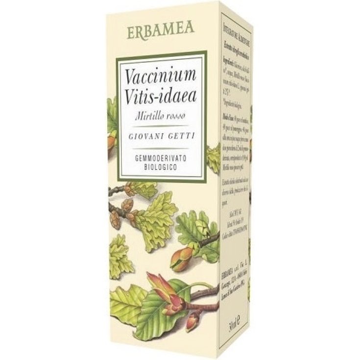 Vaccinium Vitis-Idaea Gemmoderivato Bio Erbamea 50ml