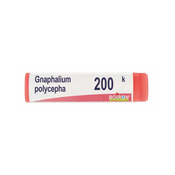 Gnaphalium Polycephalus 200k Boiron Globuli 1g