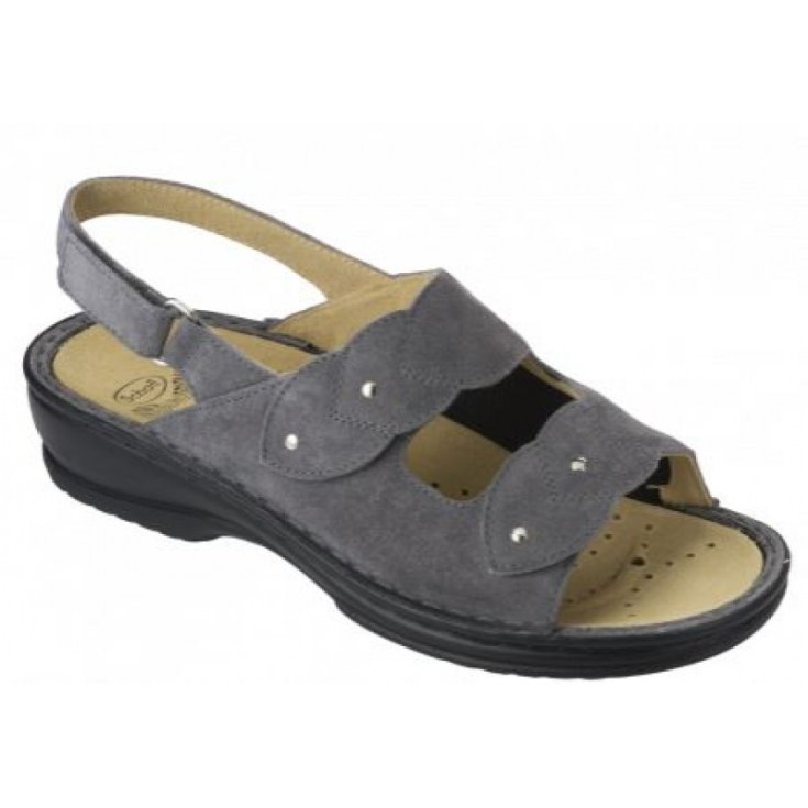 Zimandra B/S Donna Grigio Scuro 41 Dr.Scoll