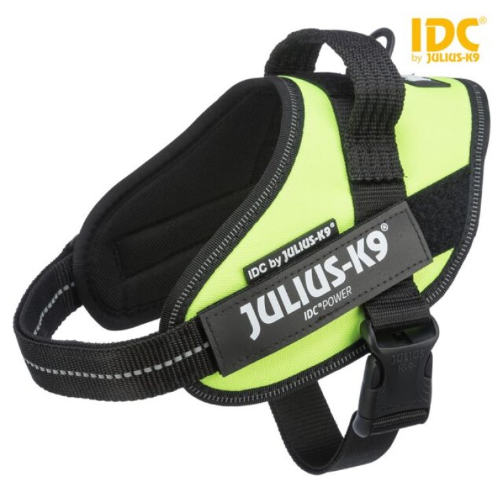 Julius-K9® IDC® Baby XS 2936 Giallo Fluorescente 1 Pezzo