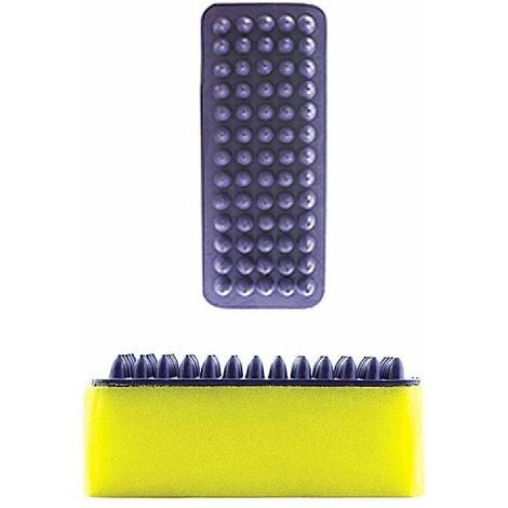 Spugna Rettangolare Con Striglia In Gomma AG00162 1 Pezzo
