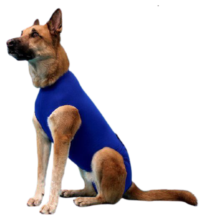 KVP Recova Shirt  Pet Recovery 1 Pezzo