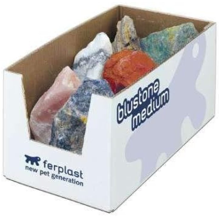 Blustone Medium Ferplast 1 Scatola
