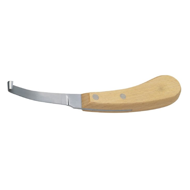 Coltello Curasnette Inglese Destro 1 Pezzo