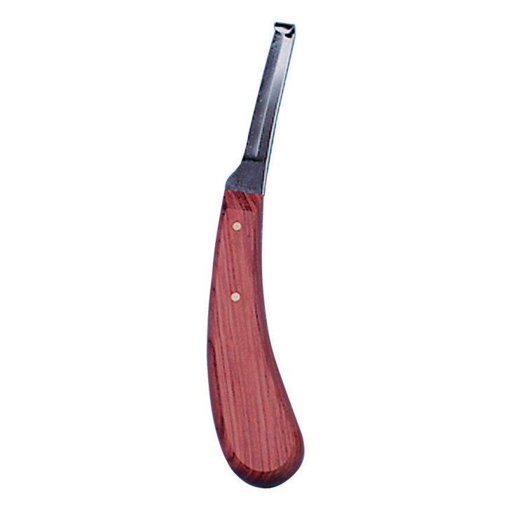 Coltello Curasnette Sinistra Lama L Aesculap 1 Pezzo