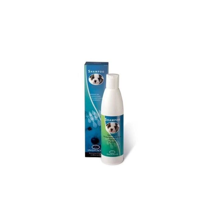 Spray Antistatico Lucidante Ingenya 250ml