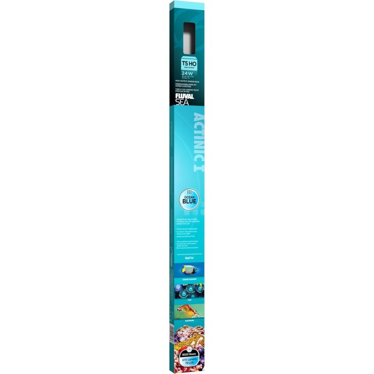 T5HO Actinic 24W Fluval 1 Pezzo