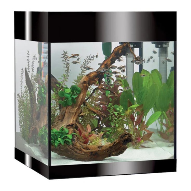 Aquarium Kit Pure Medium Absolute Black LED Askoll