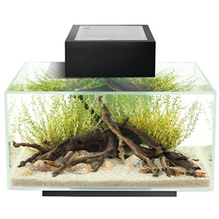 Acquario Edge Black Fluval 1 Set