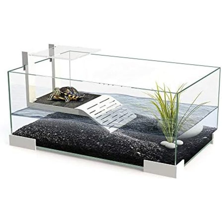 Tartarium 40 Cool Askoll 1 Pezzo