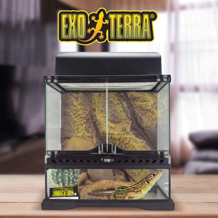 Desert Habitat Kit PT-2650 Exo Terra 1 Pezzo