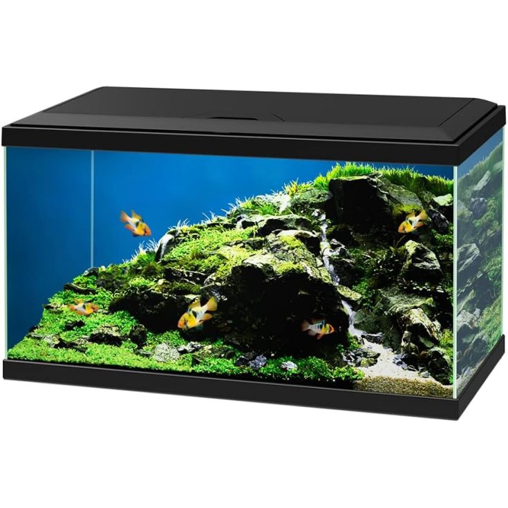 Ciano Aqua 60 Black LED Acquario