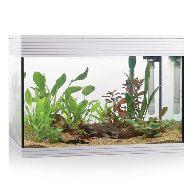 Acquario Pure Kit L Led White Askoll 1 Kit