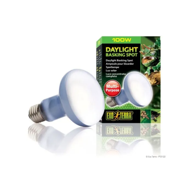 Daylight Basking Spot Heat Lamp&nbsp;R25/100W PT2133 Exo Terra 1 Pezzo