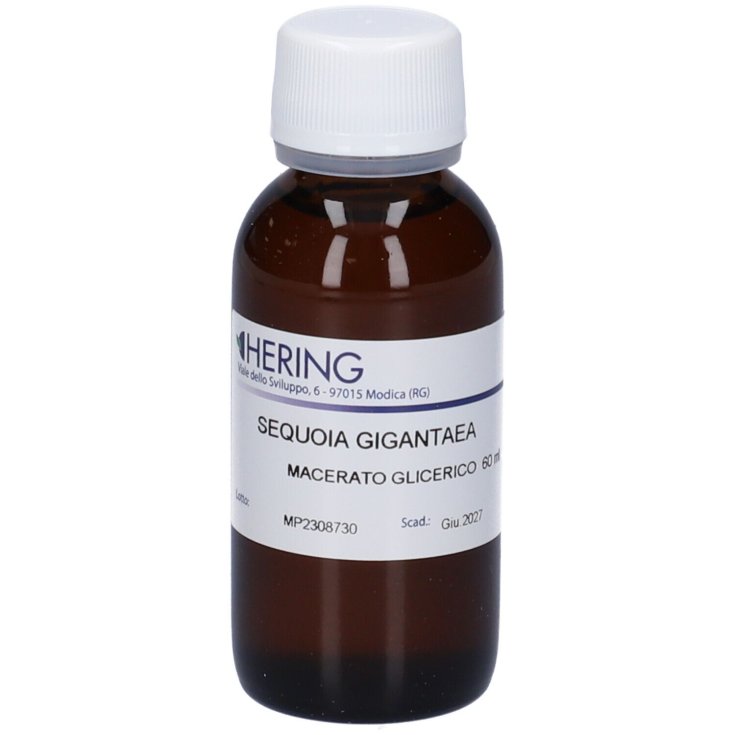 Sequoia Gigantea Macerato Glicerico Hering 60ml