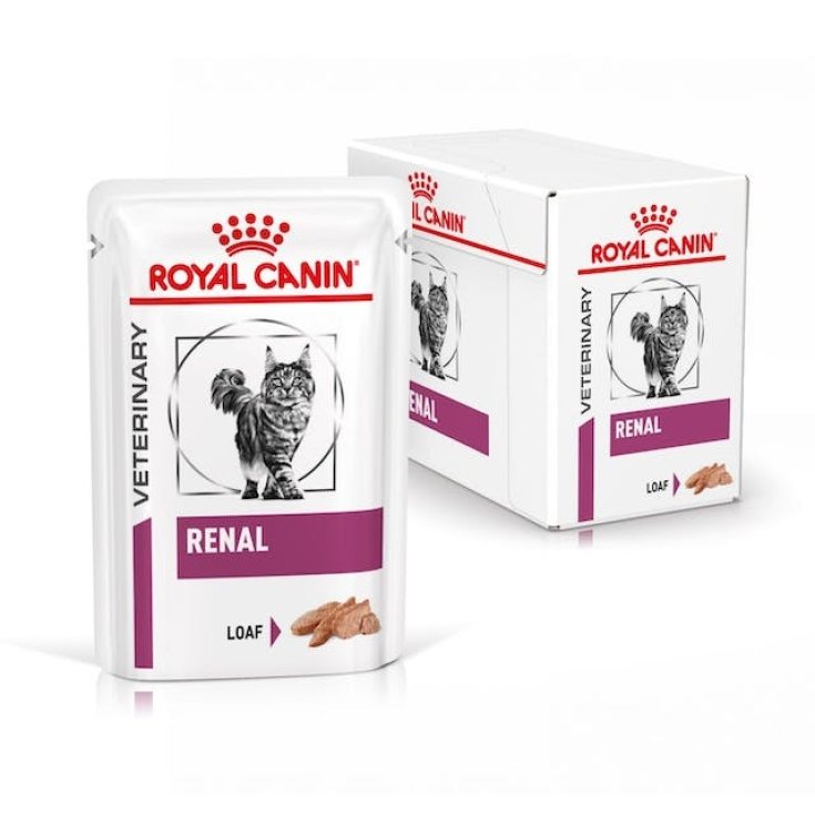 Veterinary Diet Renal - 12X85GR