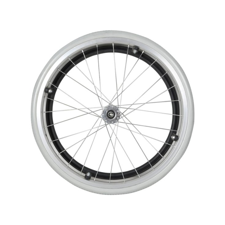 Ruota Posteriore 43251 Ricambio