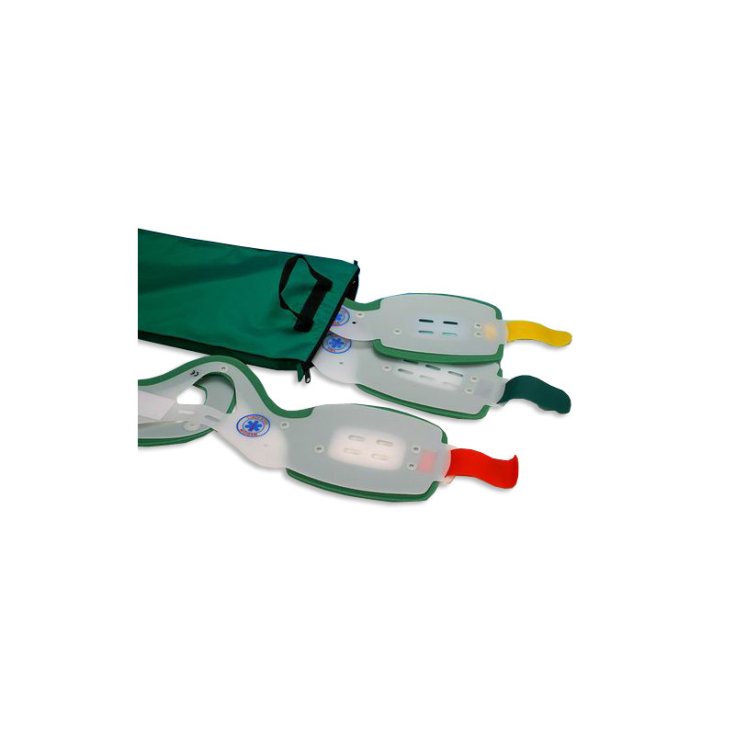 Set 6 Collari GIMA 1 Pezzo