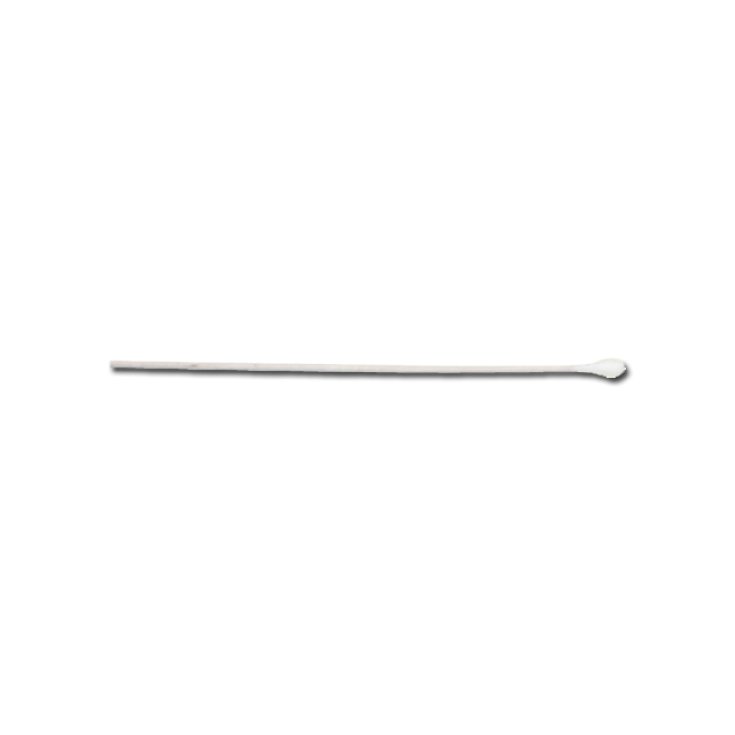 Tampone Cotone 0,5x15cm Bastoncino Legno GIMA 1000 Pezzi